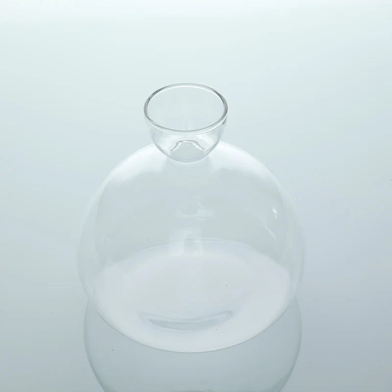Geschenkidee für Pflanzenliebhaber: Avocado Vase aus Glas für Pflanzenanzucht & Wurzelbildung.