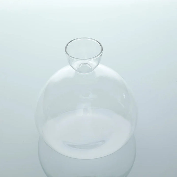Geschenkidee für Pflanzenliebhaber: Avocado Vase aus Glas für Pflanzenanzucht & Wurzelbildung.