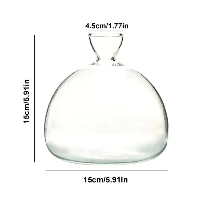 Klares Keimglas als Avocado Vase, perfekt zur Anzucht von Avocadokernen und anderen Pflanzen.