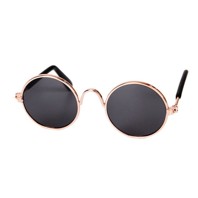 Perfekte Katzenbrille für lustige Tierfotos und angesagte Haustiermode-Statements.