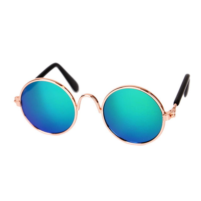 Die modischste Katzenbrille KittyShades für kleine Haustiere mit Sinn für Stil.