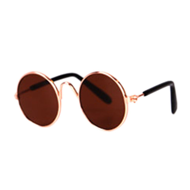Verspielte Katzenbrille, ideal für modische Katzen und lustige Erinnerungen.