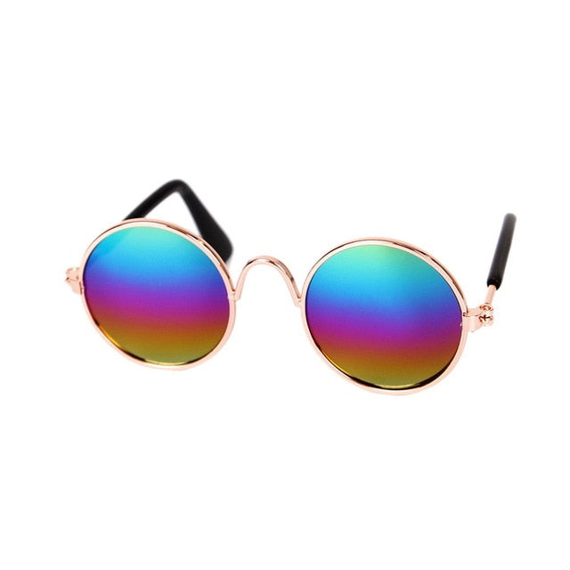 Coole Katzenbrille für Instagram-Katzen – ein Statement in der Haustiermode.