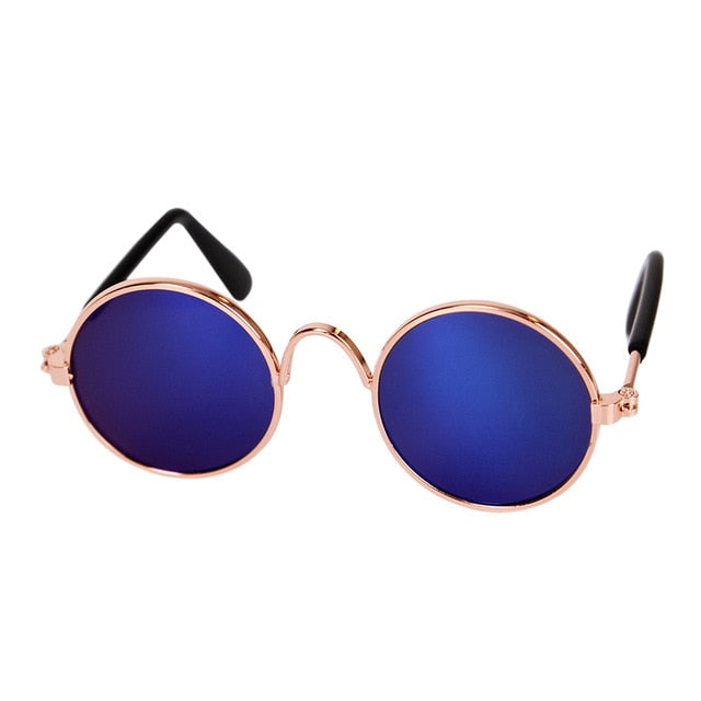 Elegante Katzenbrille, ein Must-have für tierische Fashionistas und stylische Fotos.