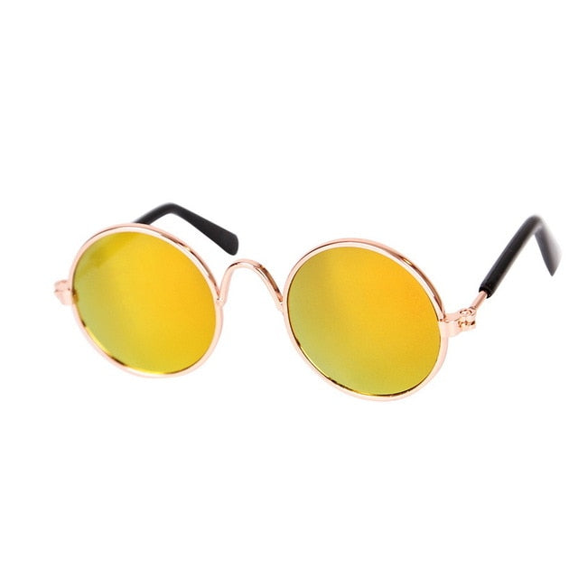 Trendige Katzenbrille, die Ihr Haustier zum Hingucker bei jedem Fotoshooting macht.