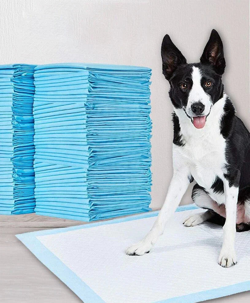 PeeMaster Saugpads für Welpen & Hunde. Unterstützt Stubenreinheitstraining mit starker Saugkraft & Geruchskontrolle.