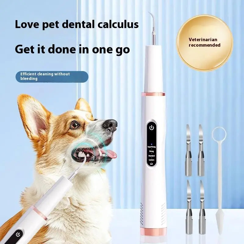 Ultraschall-Zahnsteinentferner für Tiere, sanfte & effektive Mundhygiene für Hunde & Katzen.
