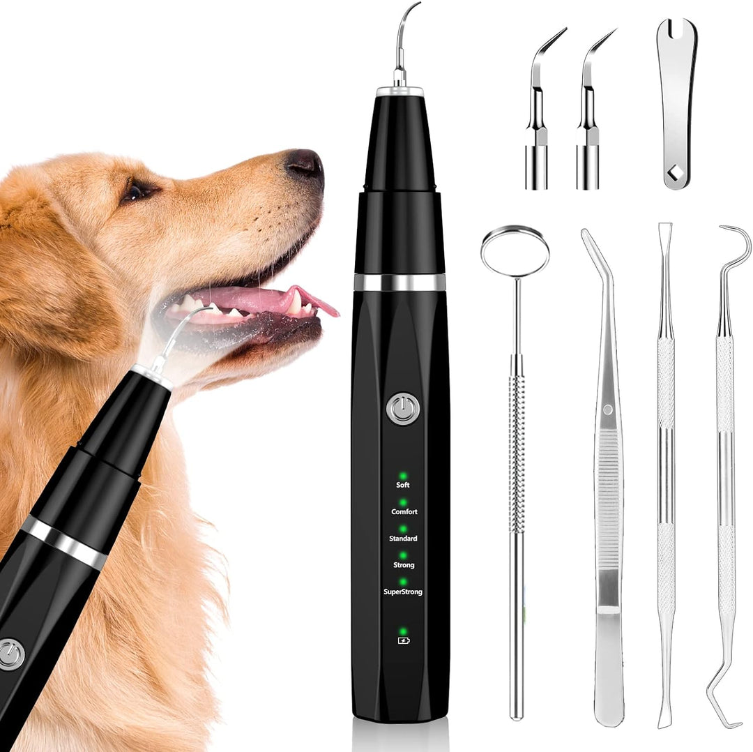 Ultraschall-Zahnreinigungsset BuddyCare für Hunde & Katzen zur effektiven Zahnsteinentfernung & Zahnpflege.