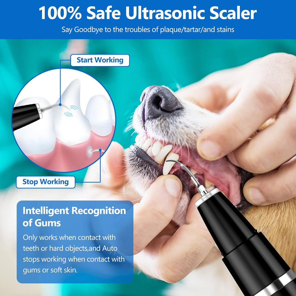 Haustierzahnreiniger mit Ultraschall für gesunde Zähne bei Hunden & Katzen; ideal zur Mundhygiene.