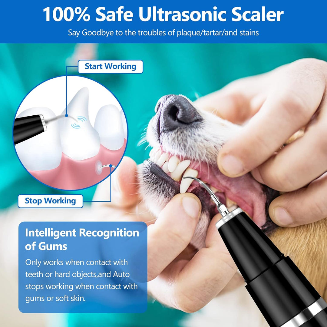 Haustierzahnreiniger mit Ultraschall für gesunde Zähne bei Hunden & Katzen; ideal zur Mundhygiene.