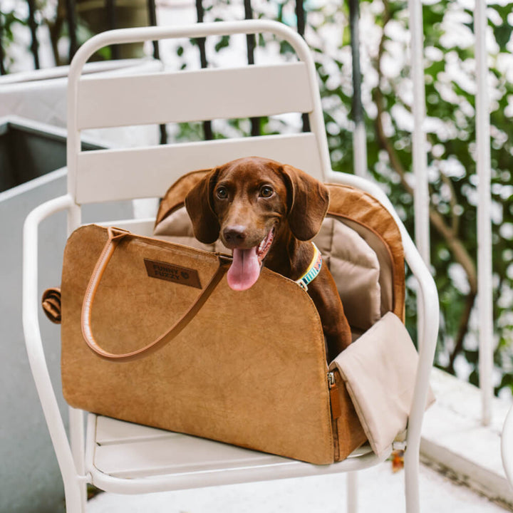 Modische Haustiertasche aus recycelten Materialien für kleine Hunde & Katzen.