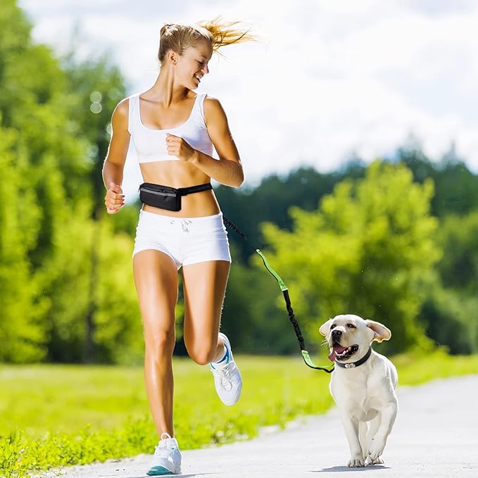 Freihand-Hundeleine mit Hüftgurt, ideal für aktives Hundetraining & Joggen.