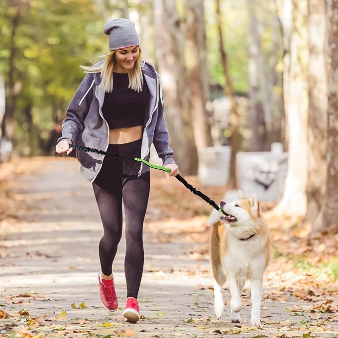 Komfortable Freihandleine mit Hüftgurt, perfekt für Wanderungen & Sport mit Hund.