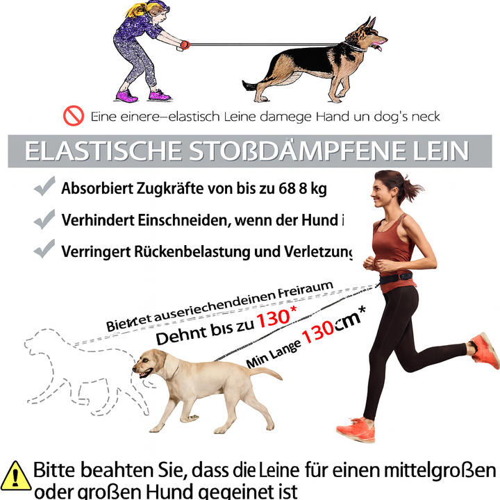 Robuste Freihandleine mit stoßdämpfendem Gurt für entspanntes Gassi & Sport mit Hund.