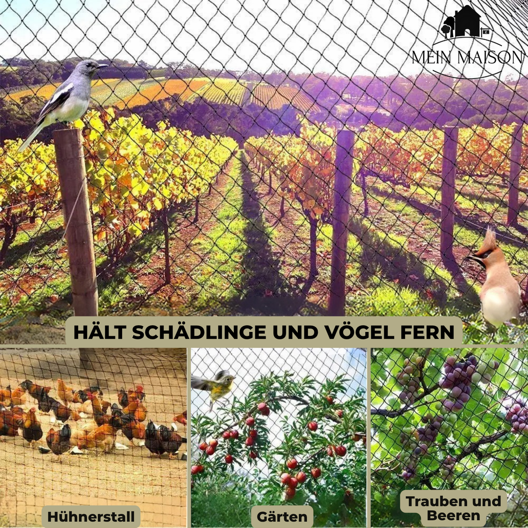 Gartennetz über einem Hochbeet. Bietet zuverlässigen Schädlings- und Vogelschutz für Gemüse und Kräuter.