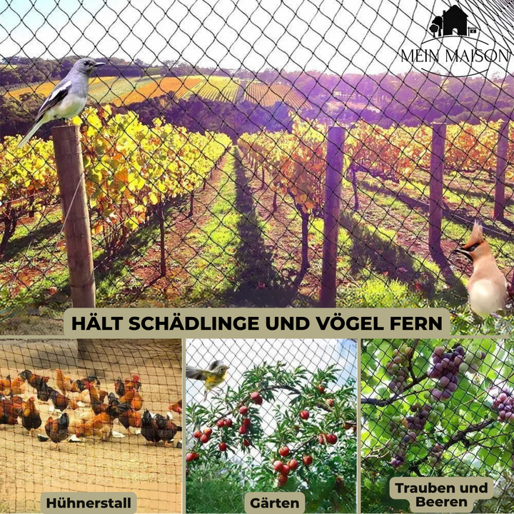 Gartennetz über einem Hochbeet. Bietet zuverlässigen Schädlings- und Vogelschutz für Gemüse und Kräuter.