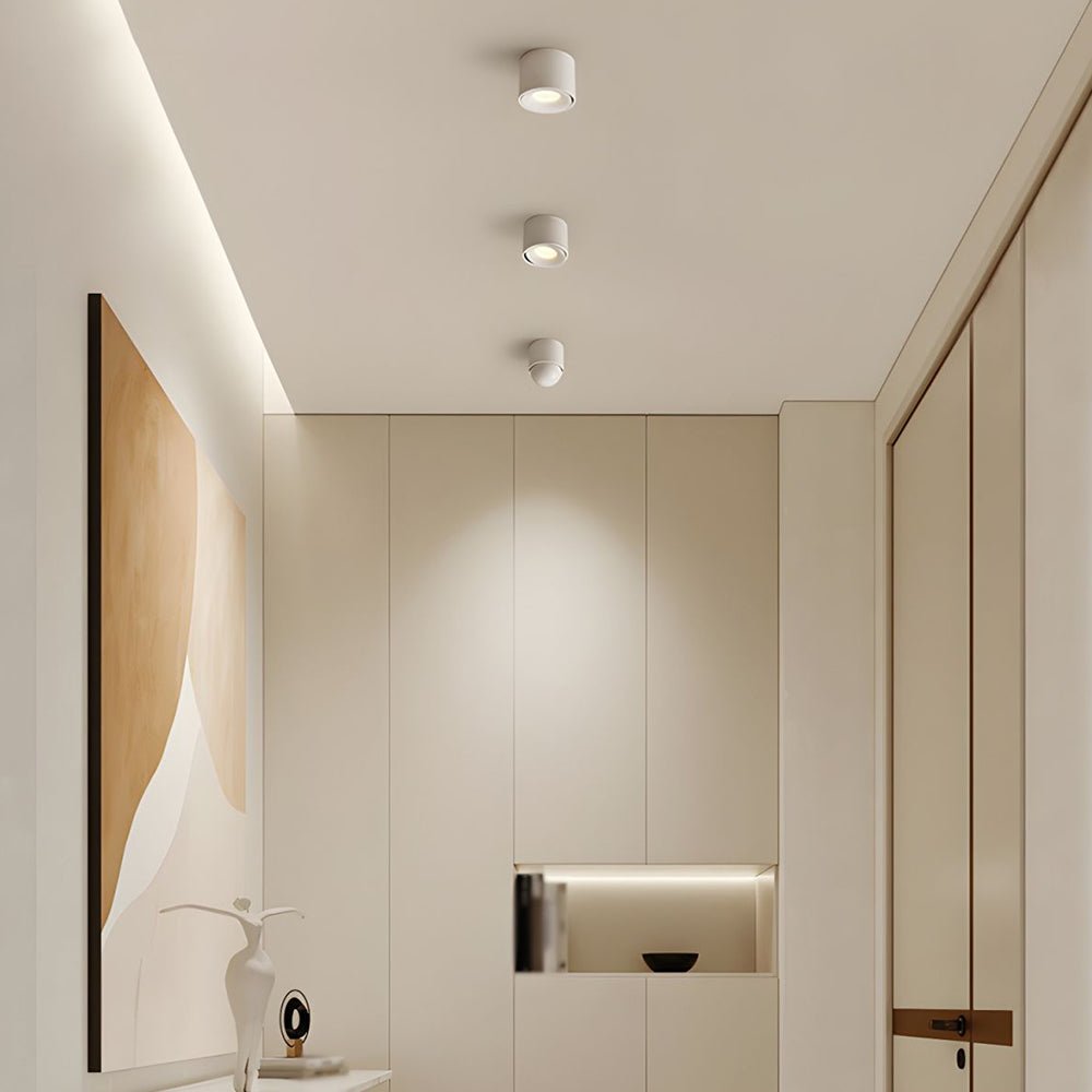 Verstellbares LED Downlight für Wohnzimmer & Flur; ideal als moderne Decken- & Akzentbeleuchtung.