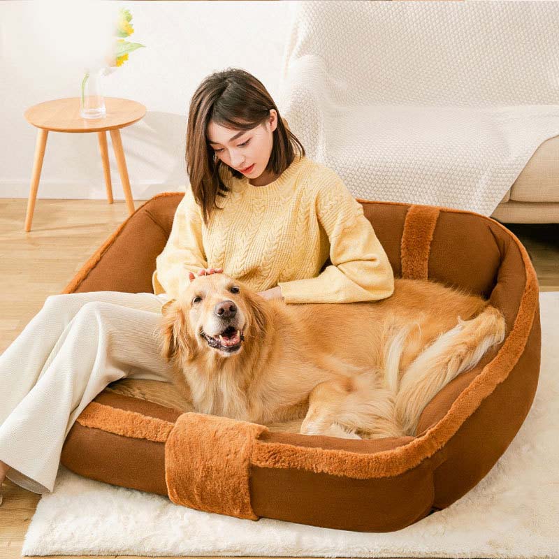Hund liegt entspannt auf braunem Vintage Sofa-Hundebett. Gelenkschonendes, beruhigendes Tierbett für Schlaf.
