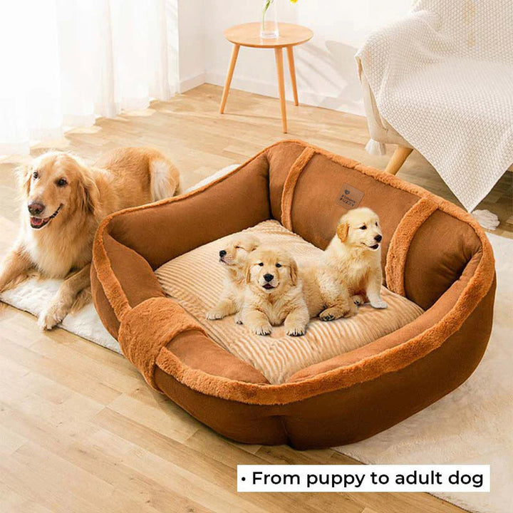 Elegantes Vintage Hundebett in Sofa-Form, braun. Waschbares, gemütliches Tierbett, passt perfekt ins Wohnzimmer.