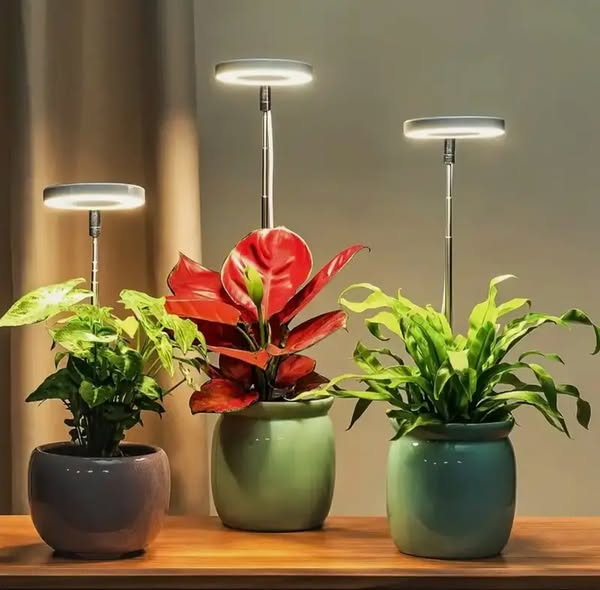 Vollspektrum LED Pflanzenlampe mit Timer und Dimmfunktion für optimales Pflanzenwachstum bei Zimmerpflanzen.