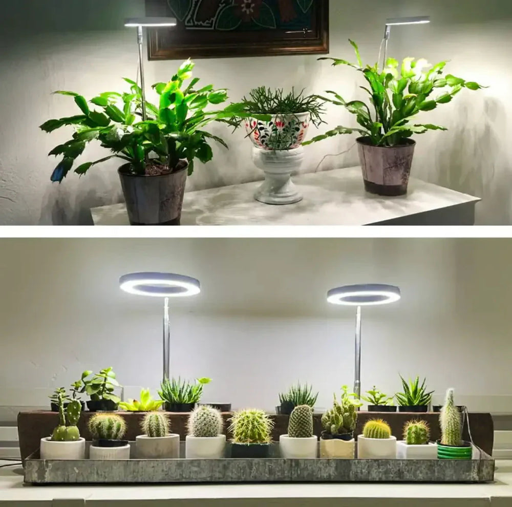 Effizientes LED Wachstumslicht für Zimmerpflanzen, mit Vollspektrum, Timer & Dimmfunktion für gesunde Kräuter.