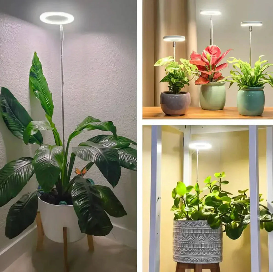 Hochwertige Vollspektrum LED Pflanzenbeleuchtung für beste Indoor Pflanzenpflege mit einstellbarem Timer.