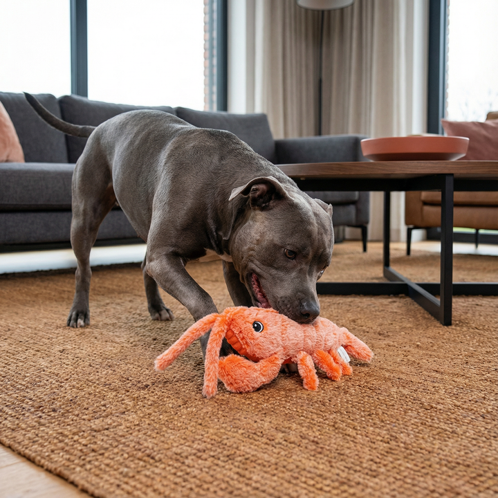 Wackel-Hummer interaktives Hundespielzeug, robustes Haustierspielzeug für aktive Hunde und Spielstunden.