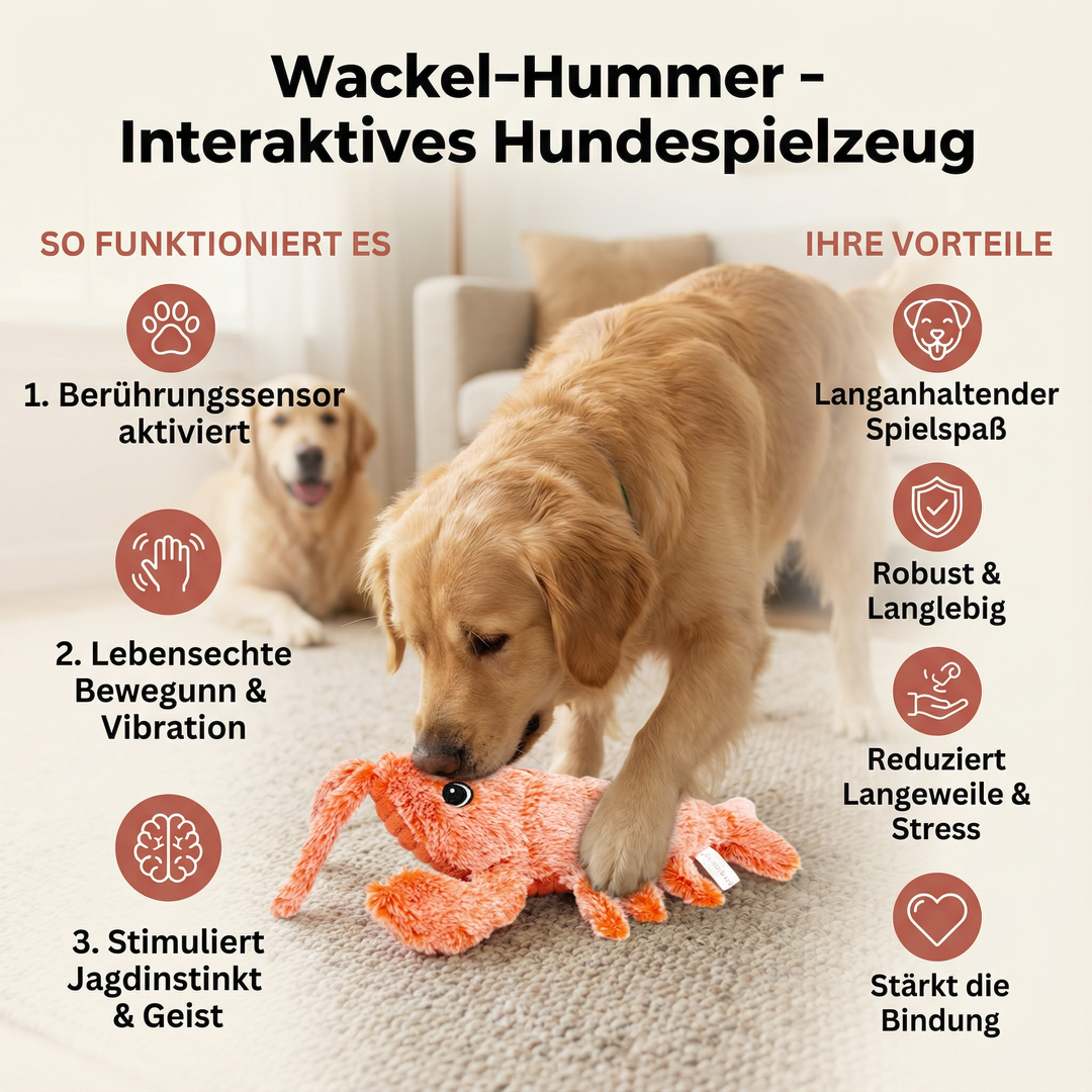 Lustiger Wackel-Hummer als interaktives Hundespielzeug, perfekt für Spiel und Spaß mit Ihrem Hund.