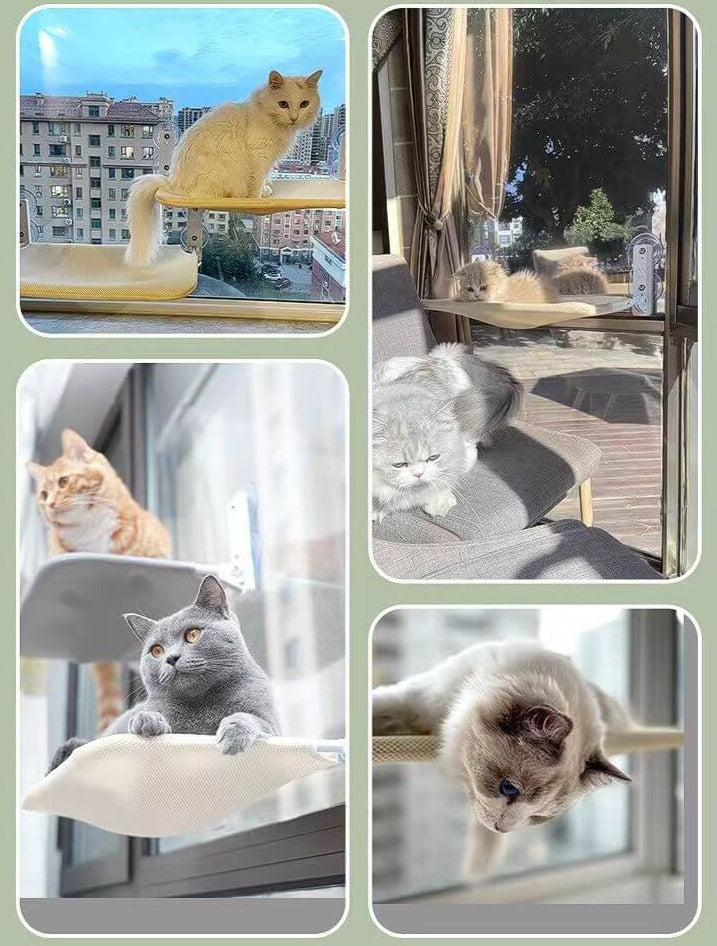 Gemütliche Katzenliege "SkyNap" mit Panorama, schafft einen Lieblingsplatz für deine Katze an der Wand.