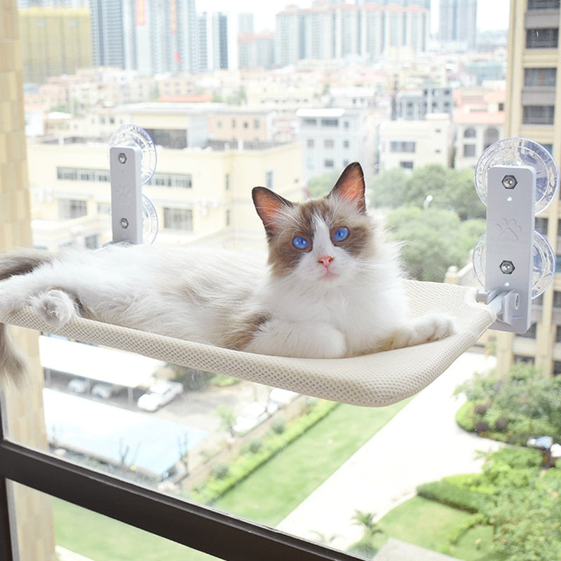 Wandmontierte Katzenhängematte mit Panoramablick; sicherer, gemütlicher Fensterplatz als Katzenbett.
