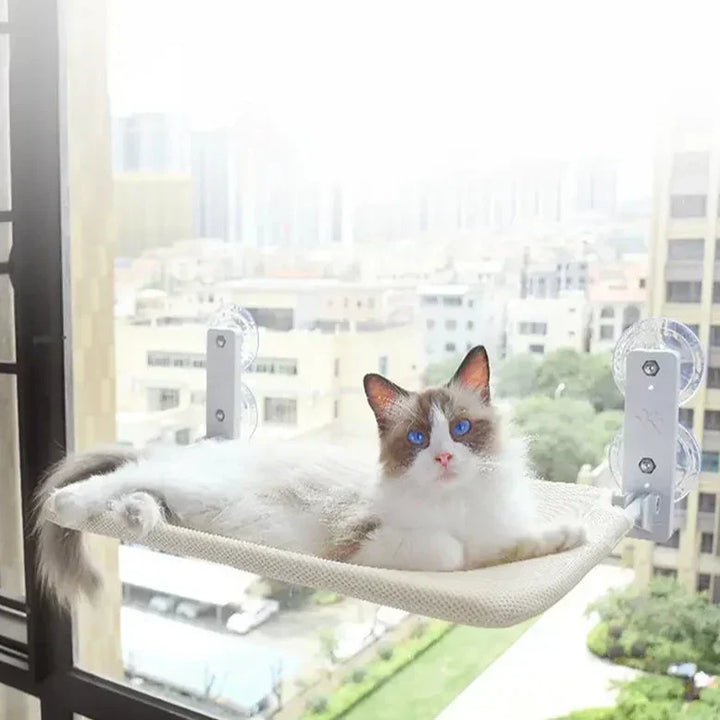 Wandmontiertes Katzenbett mit Panoramablick; ein beliebter Rückzugsort für entspannte Katzen.