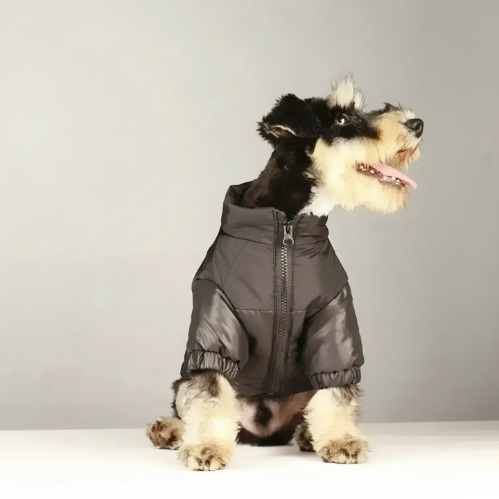 Stilvolle & kuschelige Hundejacke in modernem Design. Bequemer Wintermantel für deinen Vierbeiner.