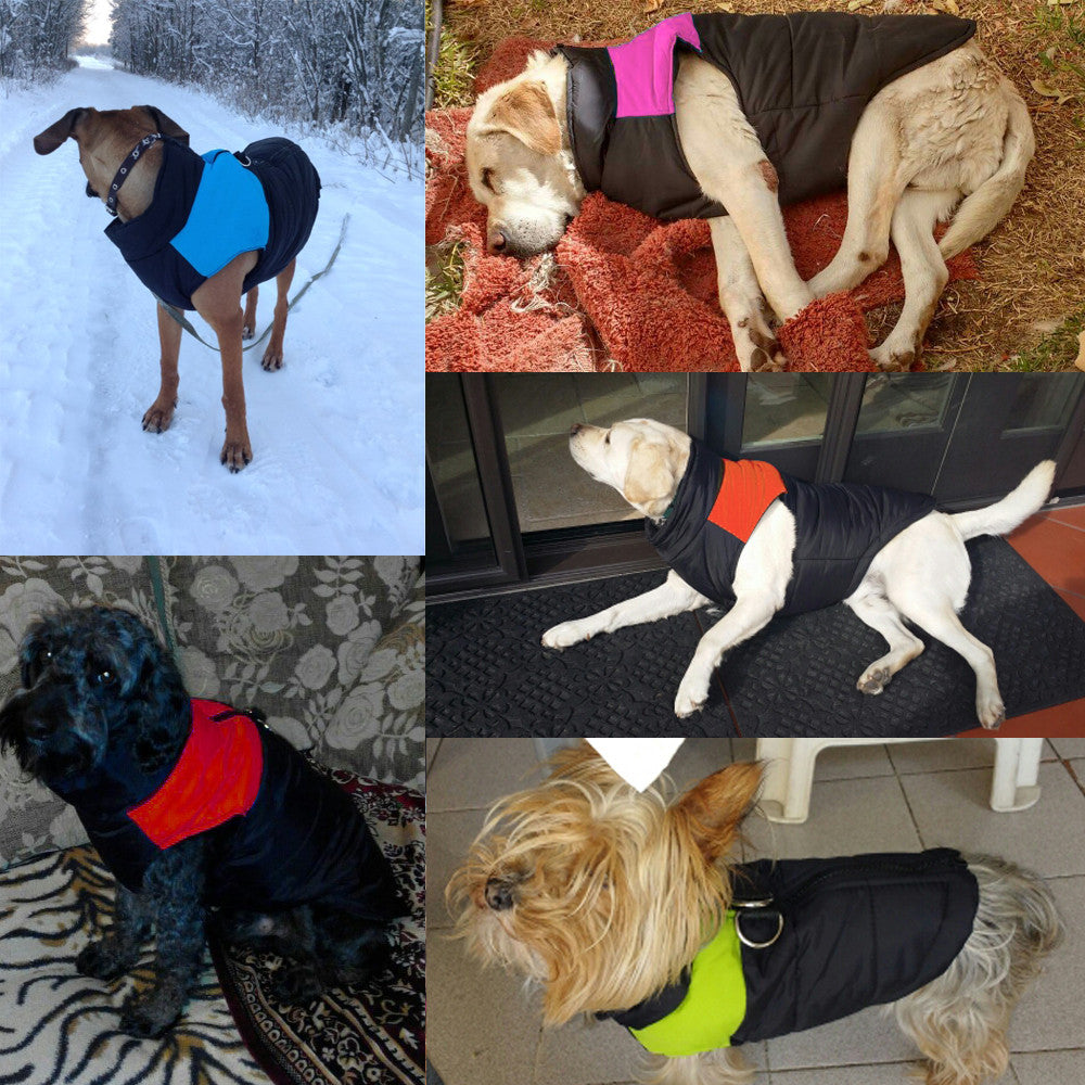 Winterjacke für Hunde mit Geschirr, warm & wasserdicht. Ideale Hundekleidung für kalte Tage.