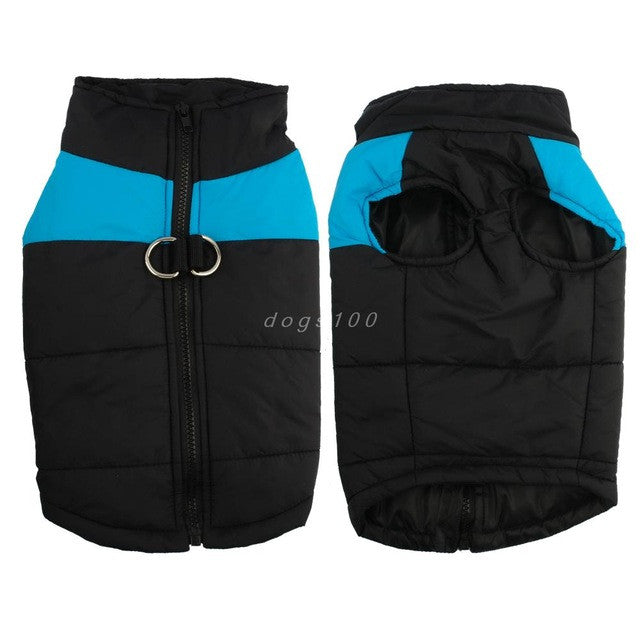 Stylische Hundejacke mit integriertem Geschirr. Warm, wasserabweisend & atmungsaktiv für Hunde.