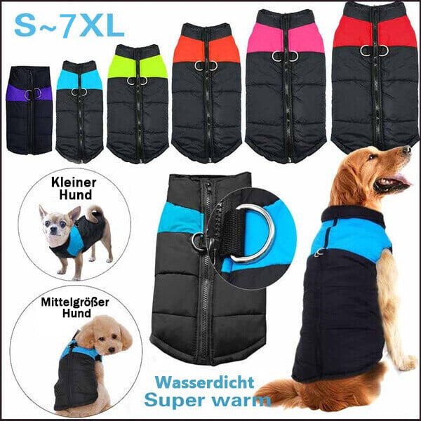 Warme, wasserdichte Hundeweste für den Winter mit integrierter Leine & Reflektoren.