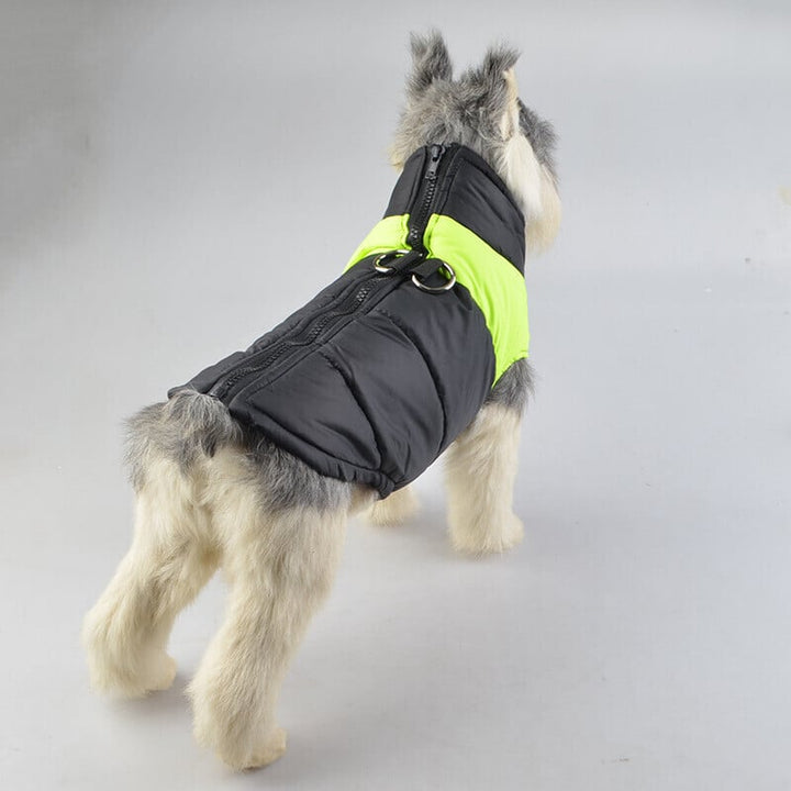 Wasserdichte Hundebekleidung: Warme Winterweste mit Reflektoren & Leine, sicheres Hundezubehör.