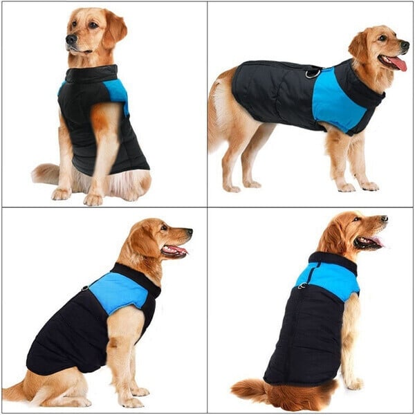 Robuste Outdoor-Hundeweste, wasserdicht und warm, mit integriertem Geschirr für Spaziergänge im Schnee.