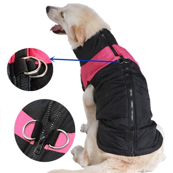 Sicherheits-Hundeweste reflektierend, wasserdicht und warm, perfekt für dunkle Wintertage.