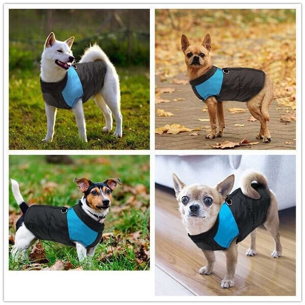 Hundegeschirr-Weste: Warmer, wasserdichter Wintermantel mit Leine & Reflektoren für optimalen Schutz.