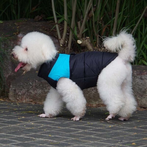 Warme, wasserdichte Hundejacke mit Reflektoren & Fleece für kleine Hunde, ideal für Winterwanderungen.