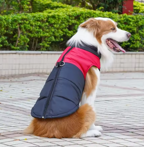 Warme, wasserfeste Hundewinterjacke mit Kälteschutz für Outdoor-Aktivitäten; ideal für kalte Tage.