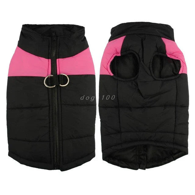 Verstellbare Hundewinterjacke für kleine & große Hunde, wasserdicht, wärmend & bequem.