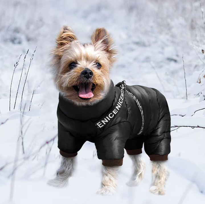 Warmer, wasserdichter Hundewintermantel mit integriertem Geschirr für optimalen Schutz bei kalten Spaziergängen.