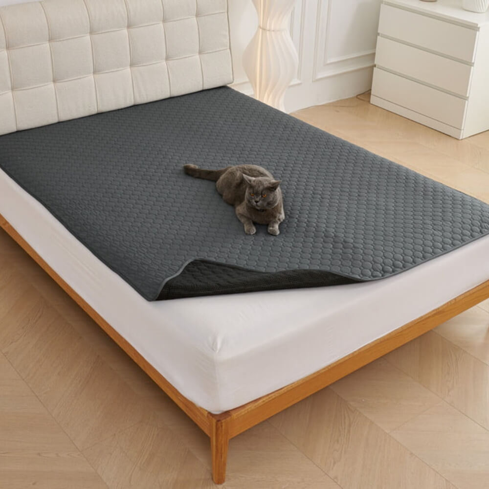 Robuster Möbelschutz: Auslaufsichere Haustierunterlage schützt Couch & Bett vor Flecken & Haaren.