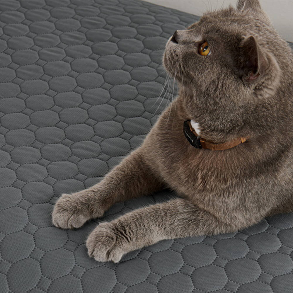 Faltbare, auslaufsichere Hundematte; perfekter Schutz für Möbel & Betten im Haus.