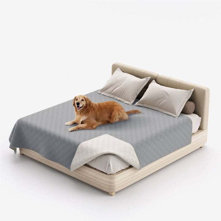 Wasserabweisende Haustierdecke für Sofa & Bett, schützt Möbel vor Schmutz und Tierhaaren.