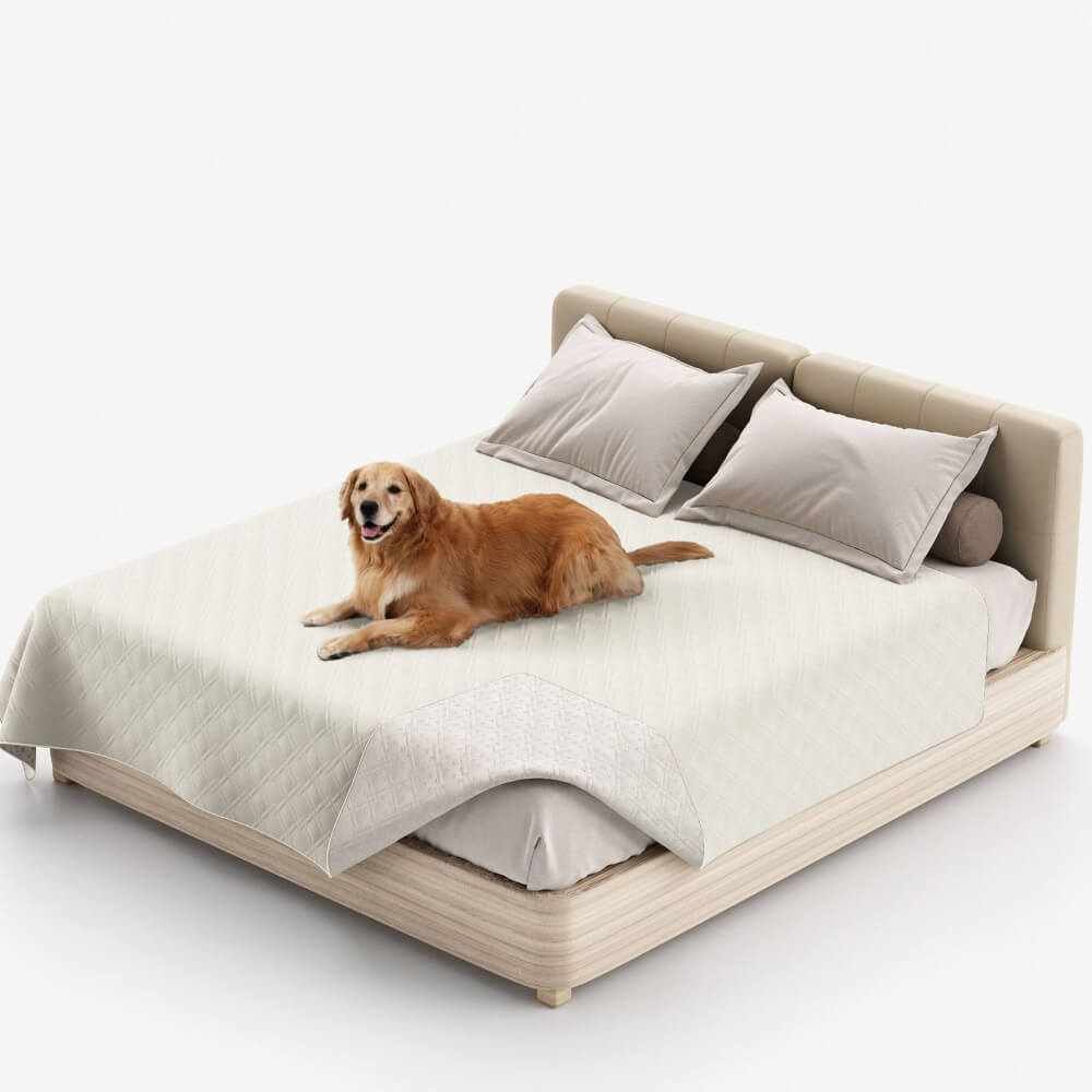 Hygienische Haustierdecke & Möbelschutz, wasserabweisend und leicht waschbar für Sofa & Bett.