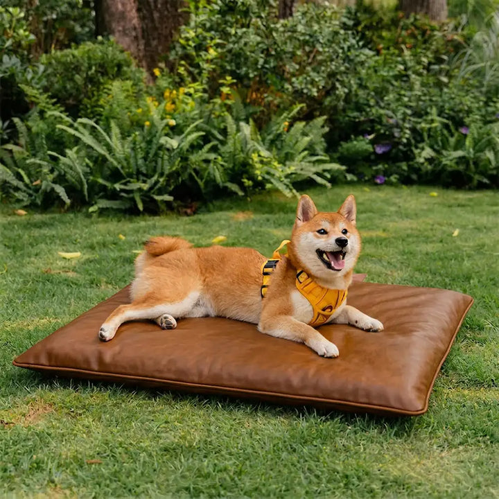 Wasserabweisende Hundematte, kratzfest und waschbar. Perfekter Schlafplatz für Haustiere.