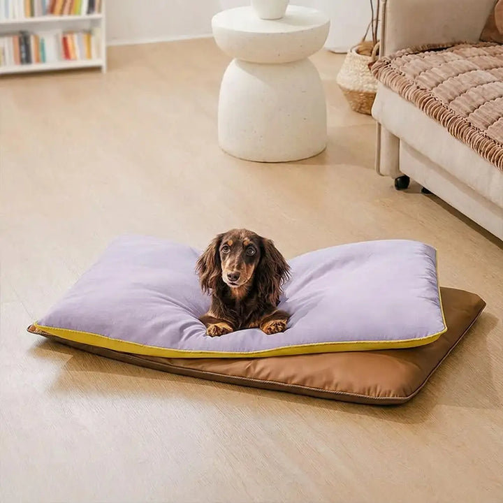 Gemütliche, doppelseitige Hundematte im Wohnzimmer, bietet Hunden hohen Liegekomfort.