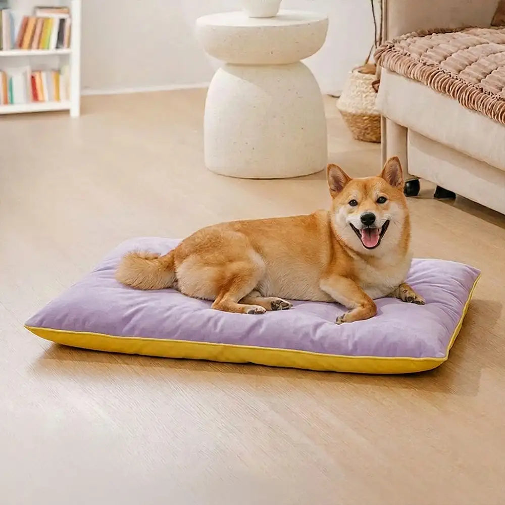 Die waschbare Hundematte wird gereinigt, um Hygiene und Frische zu gewährleisten. Pflegeleicht für Besitzer.
